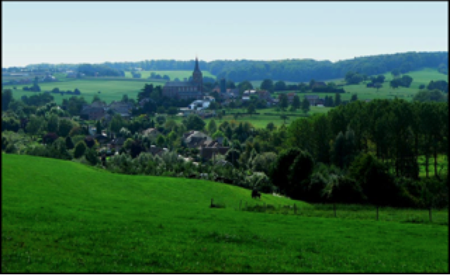 De Hoof Teuven Te Voeren