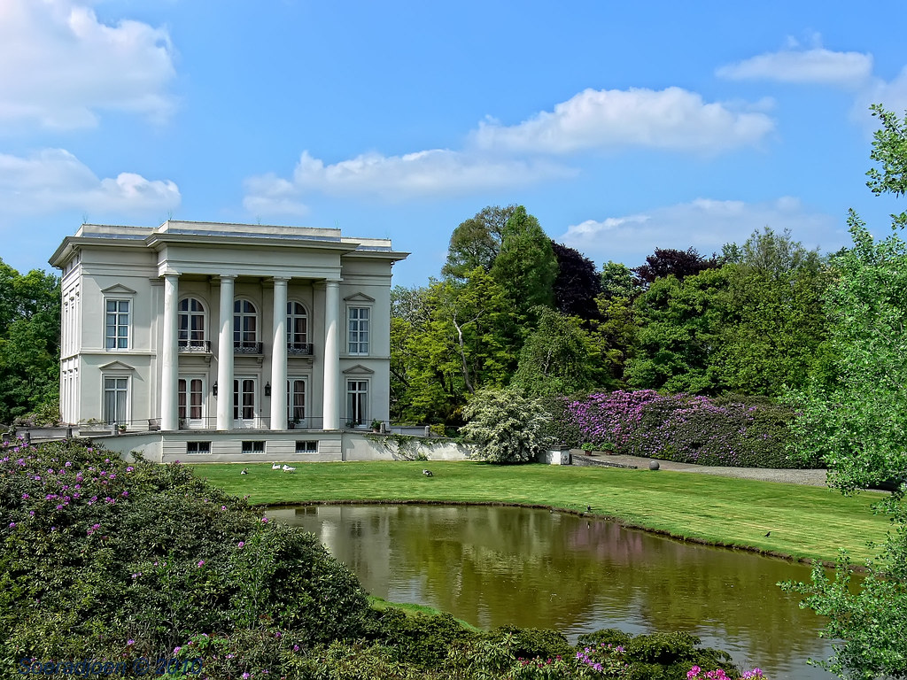 Hof van ringen