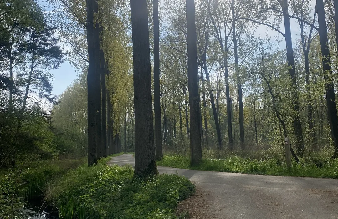 Kasteel puyenbrug