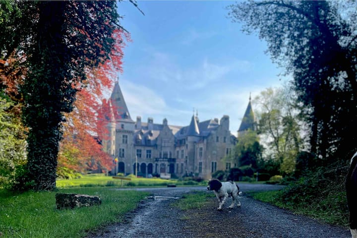 Kasteel foto 2