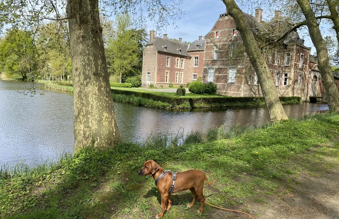 Waterkasteel van schoonbeek